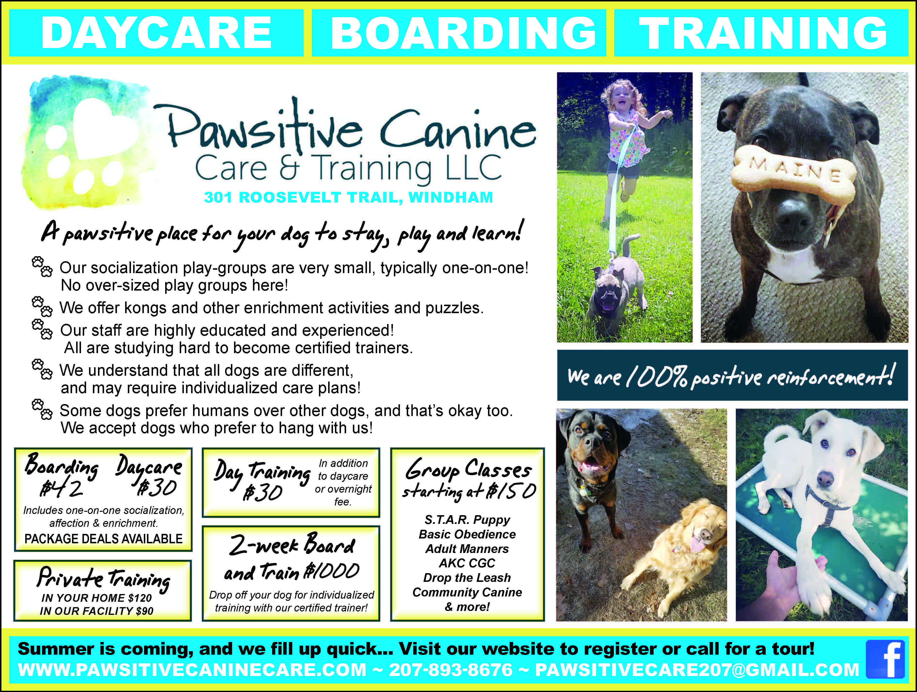 https://www.pawsitivecaninecare.com/